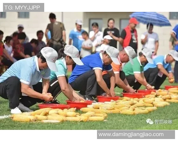 探索wwwokooocom的精彩世界尽享体育赛事带来的无限乐趣与激情