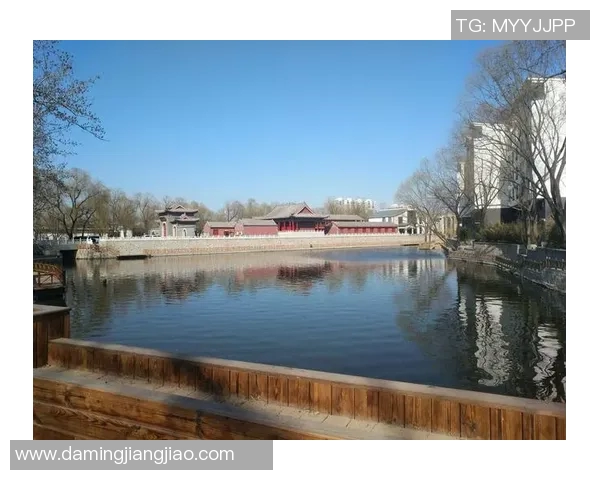 温泉与甲府风林的对决:感受自然与文化的完美融合之旅 温泉与甲府风林的对决:感受自然与文化的完美融合之旅