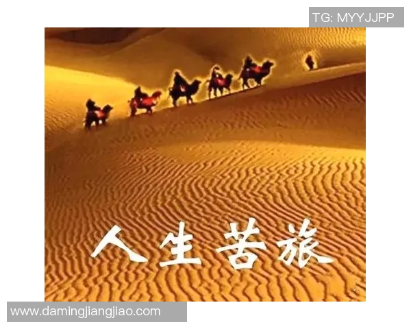 唐正东的传奇人生与职业生涯探索：从篮球场到人生舞台的精彩旅程