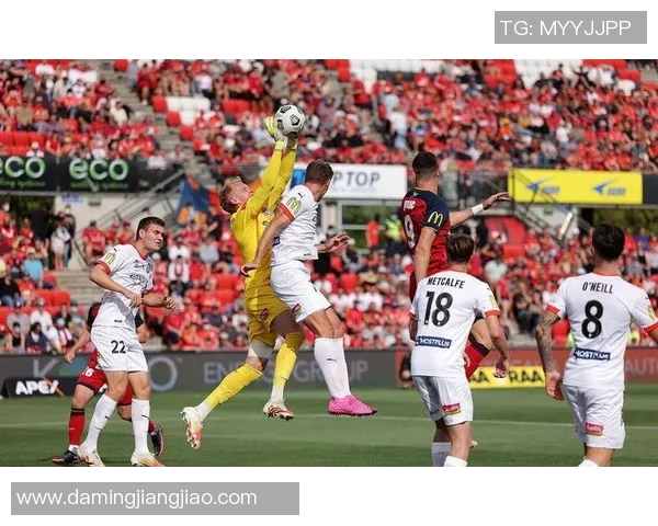 麦克阿瑟足球比赛直播间精彩赛事全程回放与实时互动体验