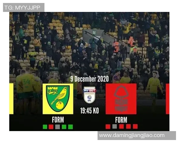 维拉与诺维奇对决前瞻分析及胜负预测解析