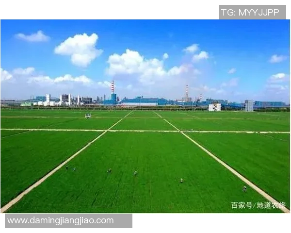 铁路工厂与阿独立的较量：现代化与传统的碰撞与融合探讨