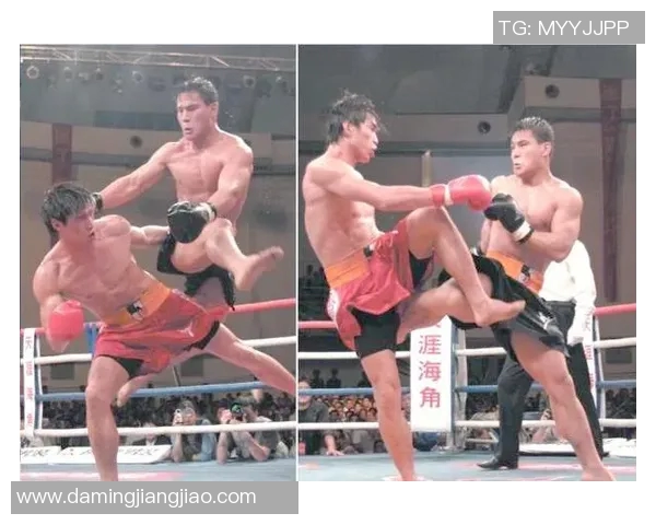 柳海龙的奋斗历程与人生哲学探索：从平凡到卓越的成长之路